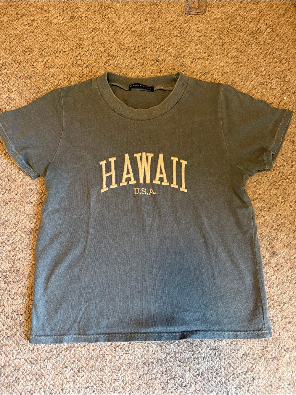 Brandy Melville Olive Green Graphic Crop Top